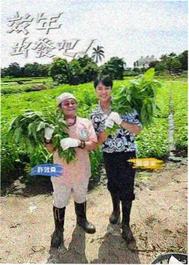 声浪计划 音乐综艺在线观看